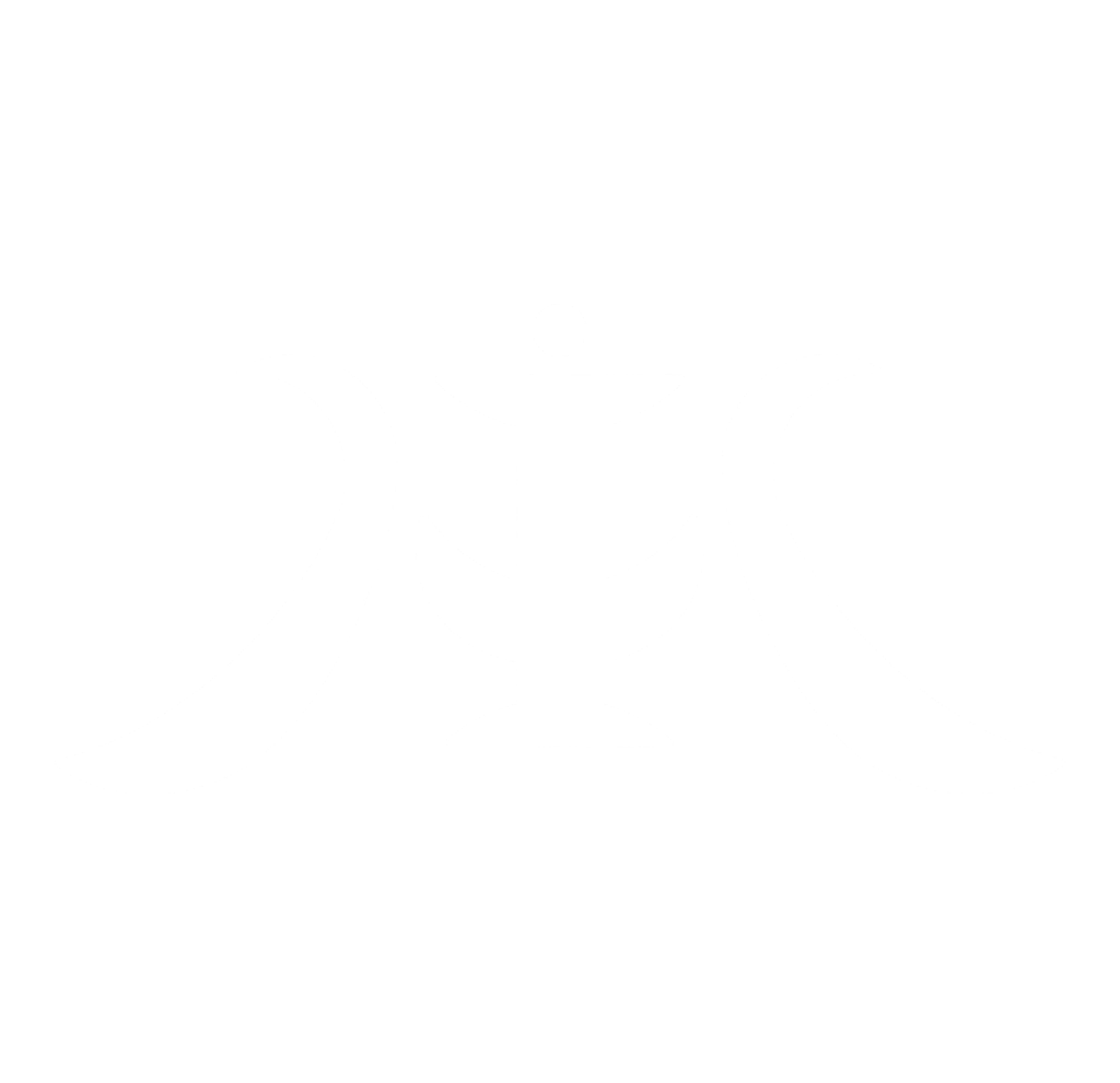 logowhite